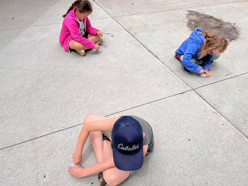 students were digging for sea animals