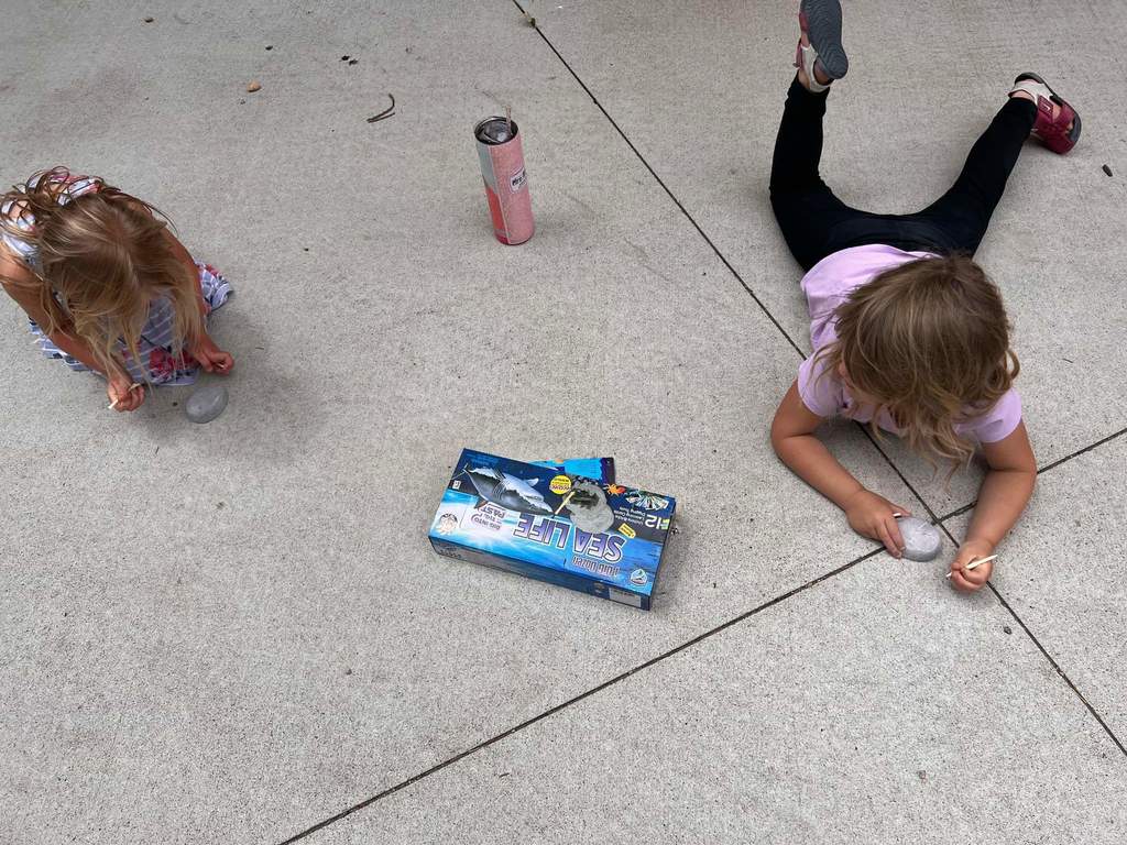 students were digging for sea animals