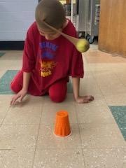 Knocking over cups with a ball on their head.