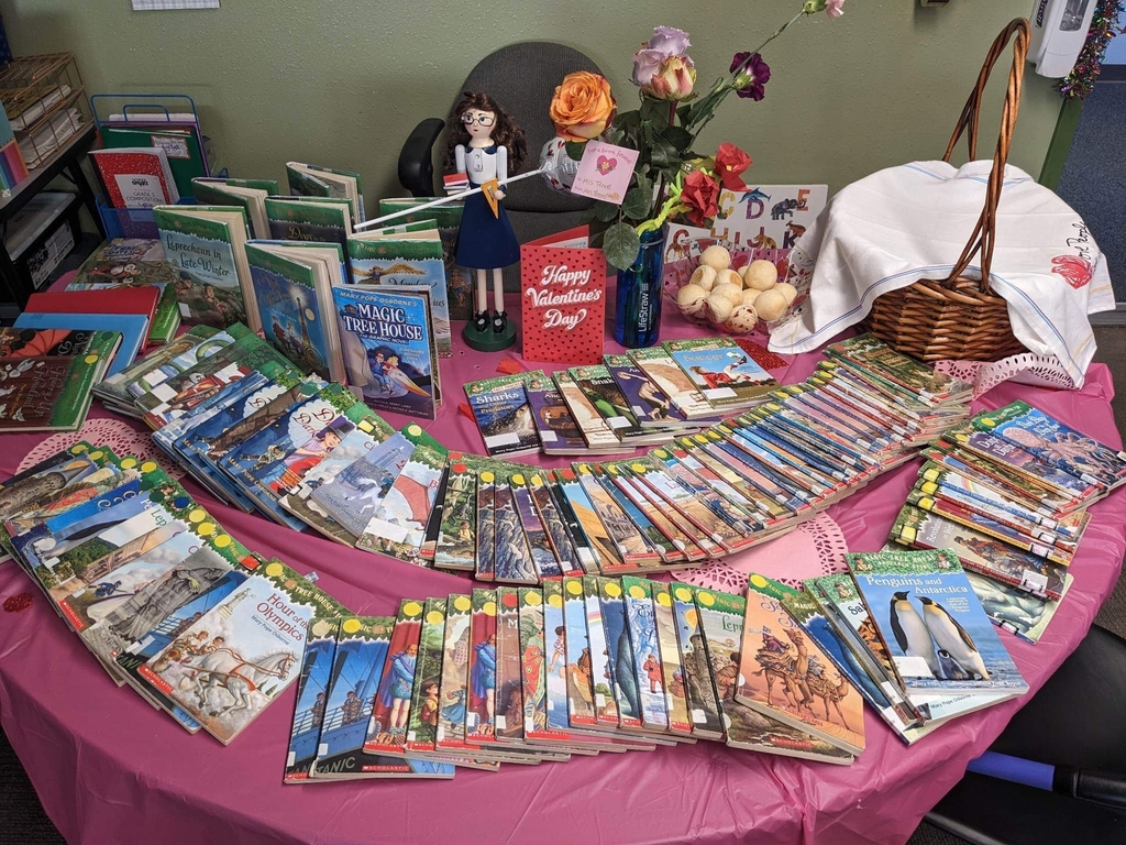 a table filled with Magic Treehouse books