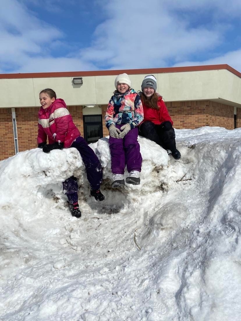 stuck in a snow fort