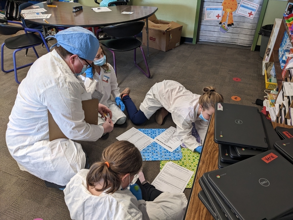 the 3rd grade doctors working on the order of operations