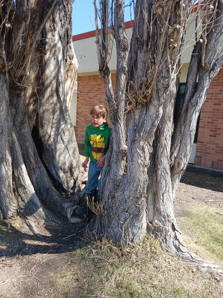 Climbing in the tree