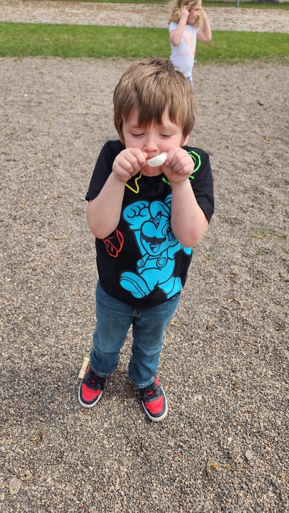 a boy and his shell